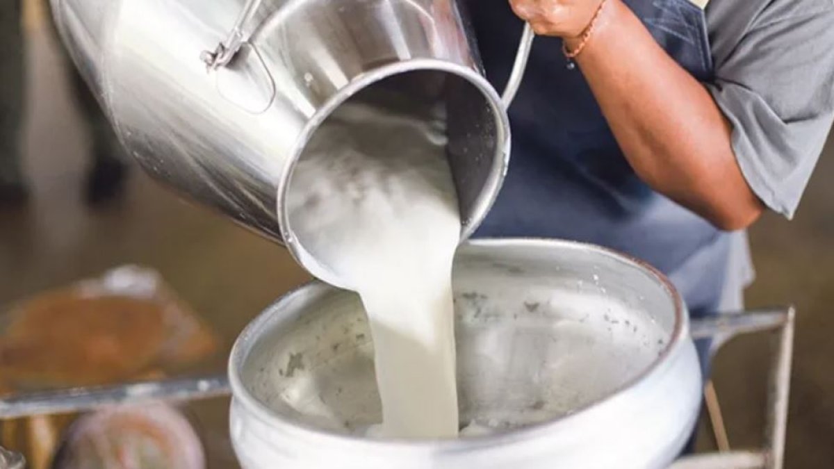 TÜSEDAD, çiğ süt tavsiye fiyatını açıkladı