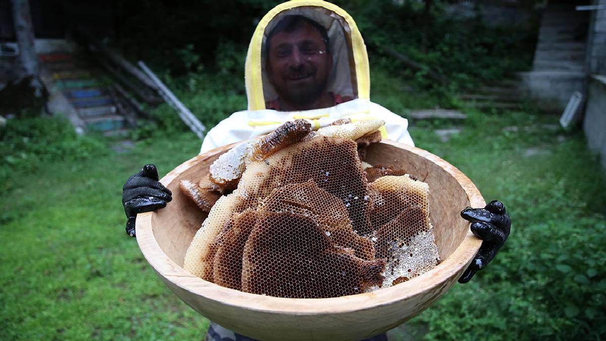 İsviçre, Almanya, Fransa’dan isteyeni bitmiyor! Kilosu 4 bin TL’den satılıyor! Sadece zenginlere yarıyor