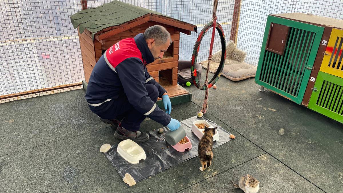 Başkan Köse; "Can dostlarımız için mama üretiminde kapasiteyi 5 kat artırdık"