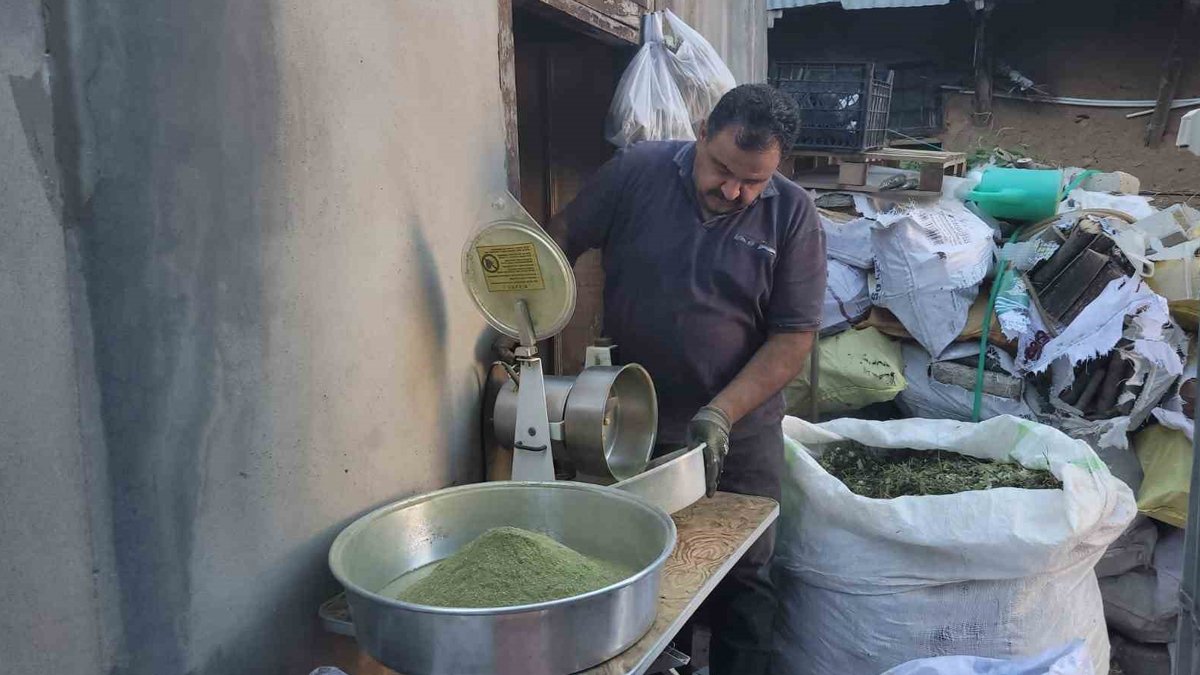 120 çeşit bitkiden yapılan asırlık baharat: Zetrin