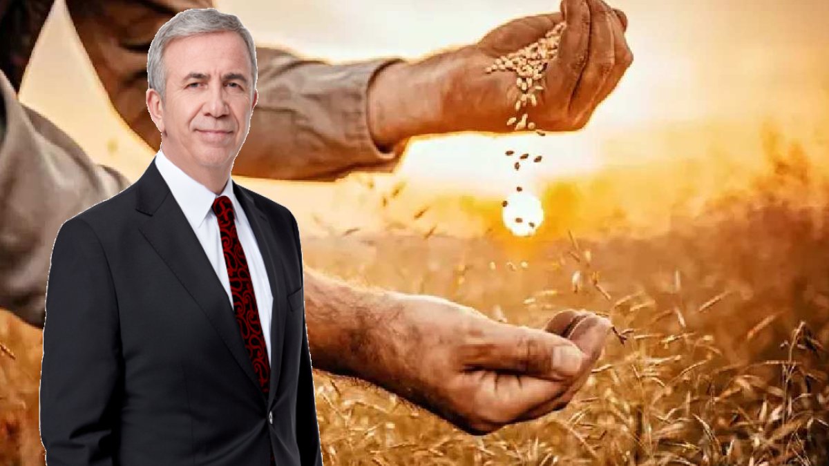 Başkentli üreticiye müjde! Ankara Büyükşehir Belediyesi'nden yüzde 100 hibeli destek: Başvuru yarın sona eriyor