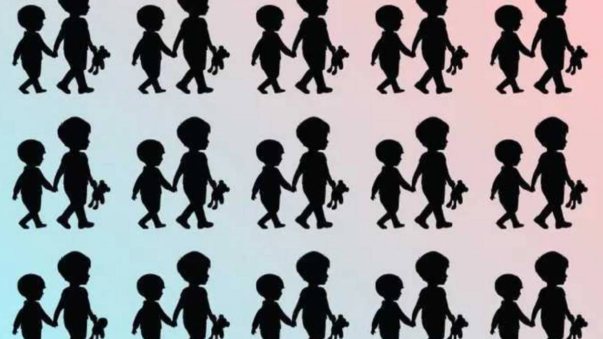 100 kişi denedi 98’i bulamadı! 6 saniyede farklı silueti bulan süper zeki olduğunu kanıtlar