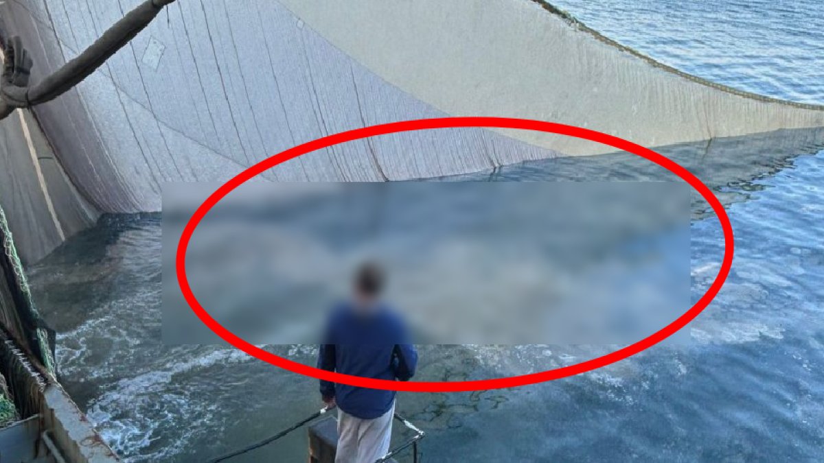 Marmara Denizi'nin korkulu rüyası! Yeniden ortaya çıktı: Ağını atan balıkçılar balık yerine onu çekti