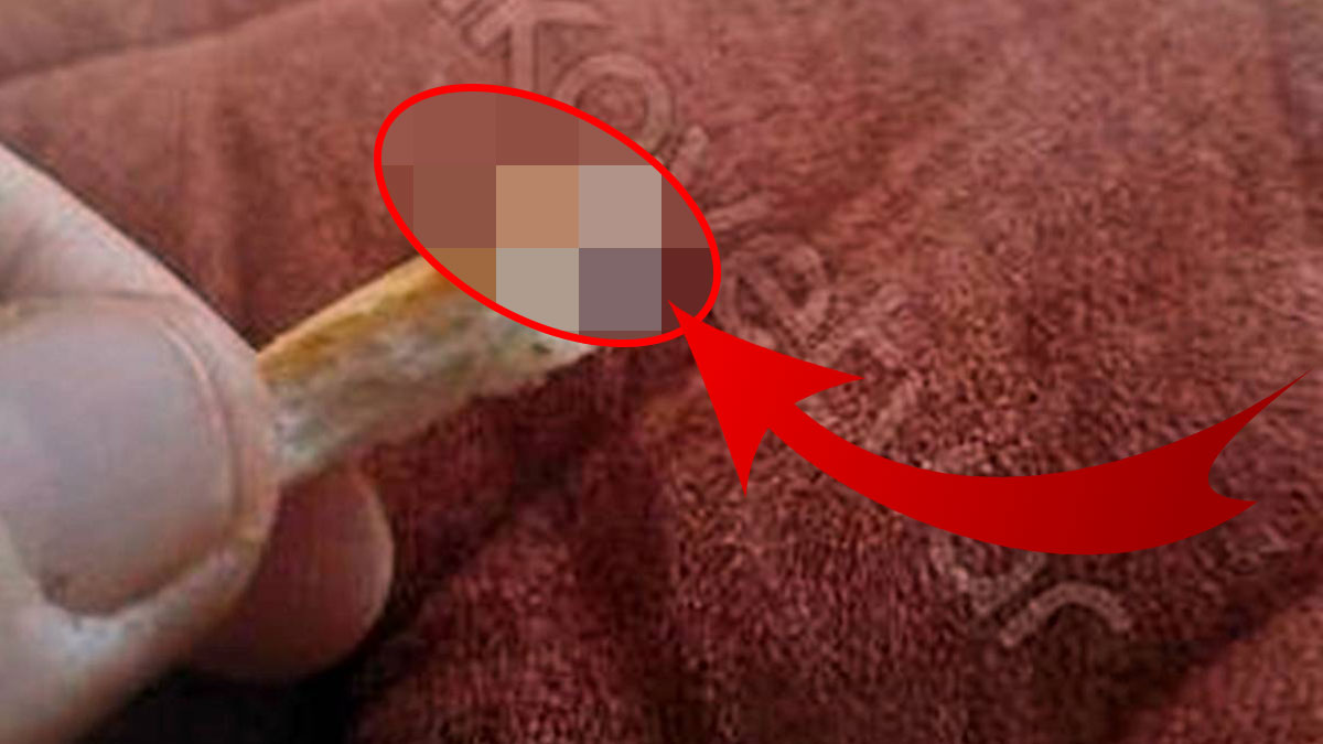 Farkında olmadan yeseydi boğazı yırtılacaktı! Marketten aldığı galetadan çıkan cisim şoke etti