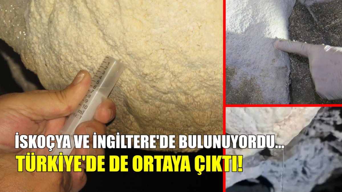 Sadece İngiltere ve İskoçya'da vardı, Türkiye'ye de bulundu! Her damlası hazine değerinde, tıpta çığır açacak