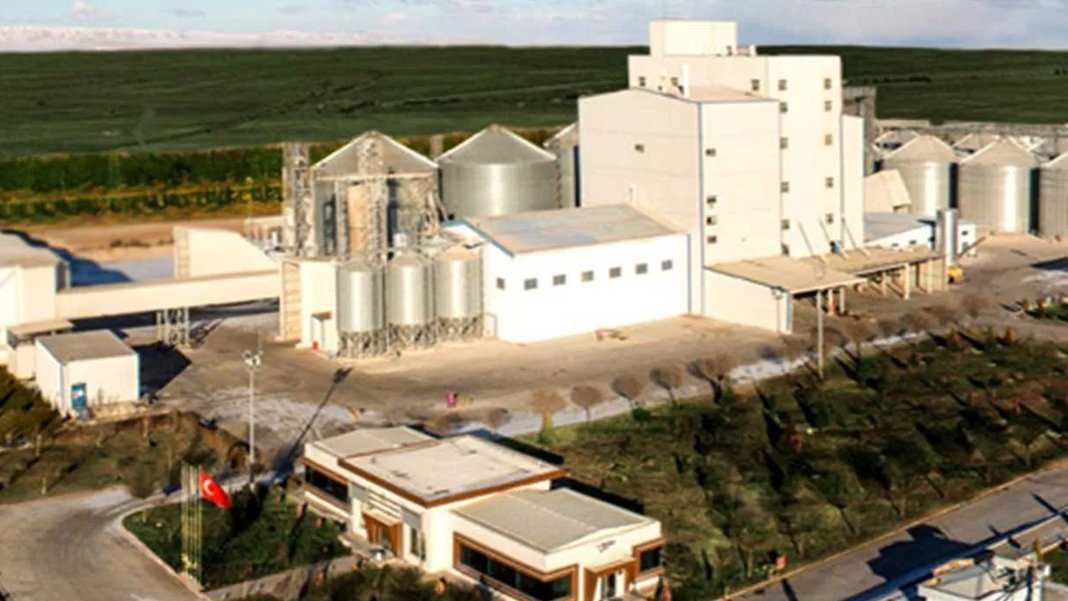 Dev yem şirketi iflasını açıkladı