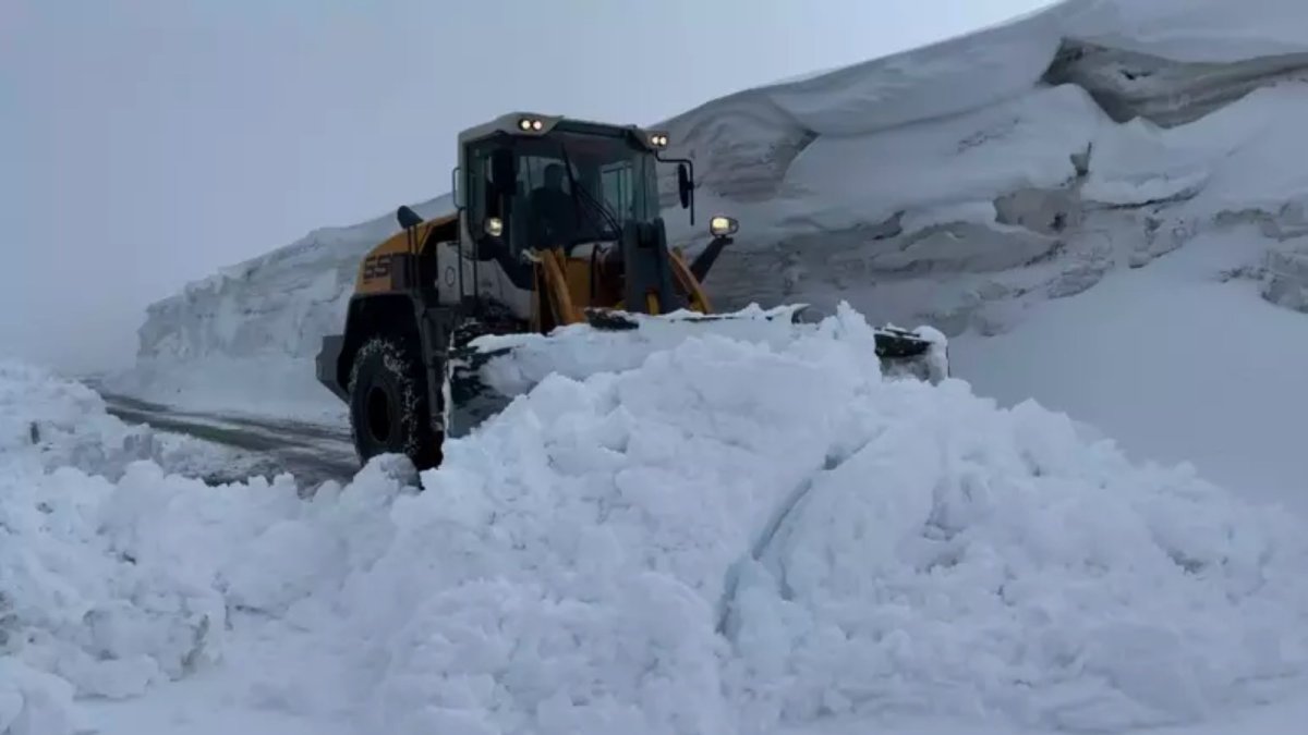 Muş'ta kar nedeniyle 15 köy yolu kapandı