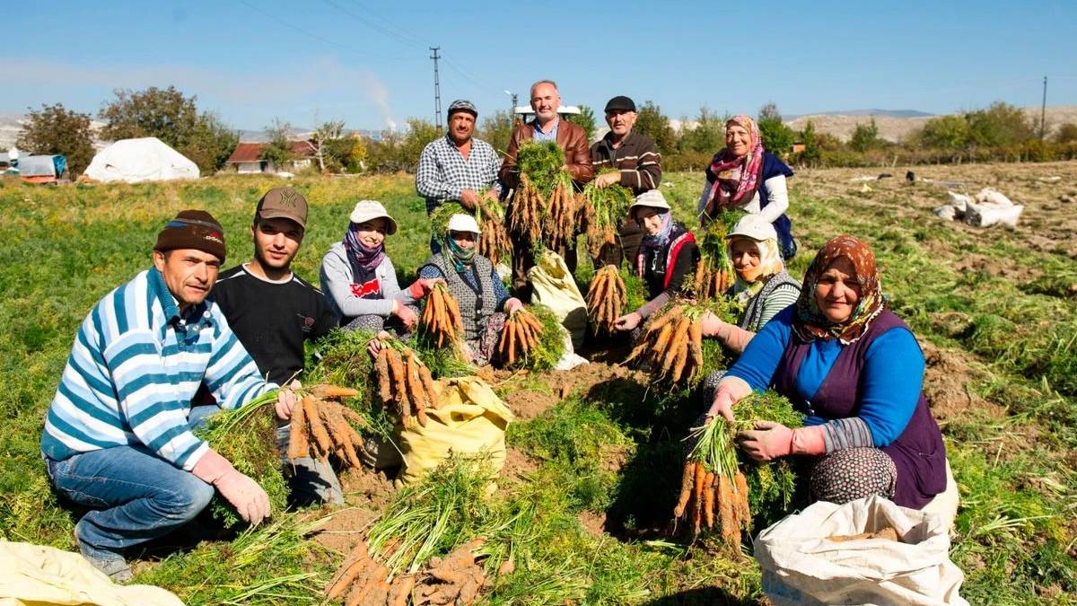 Ankara’nın tarım ambarında bu hasat asla bitmiyor! Yıl boyu toplanıyor eken paraya para demiyor
