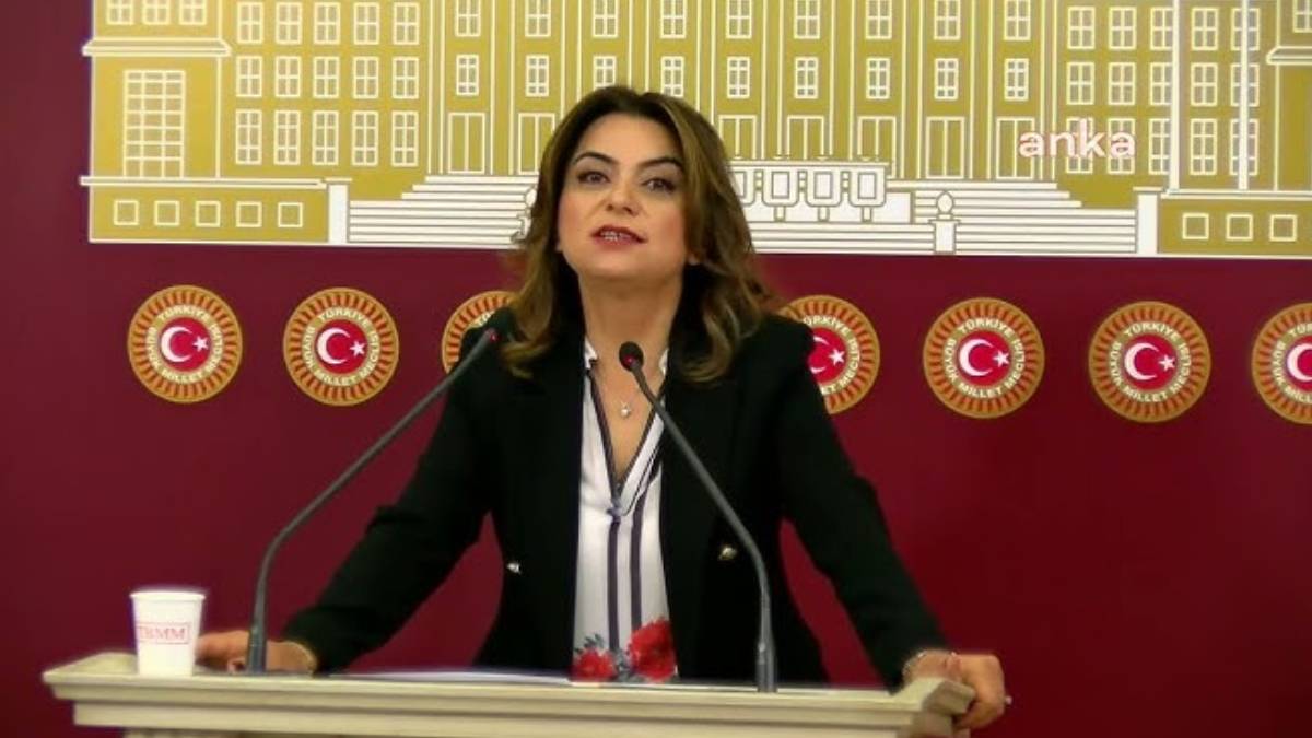 DEM Parti'den 'İmralı' çıkışı: Sadece gidiş gelişlerle bu süreç yürümez