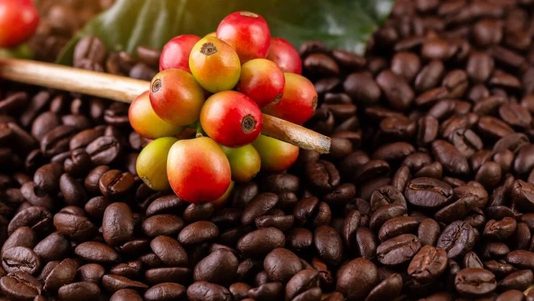 Kolombiya krizi kahve fiyatlarını tavan yaptırdı! Arabica rekor seviyede