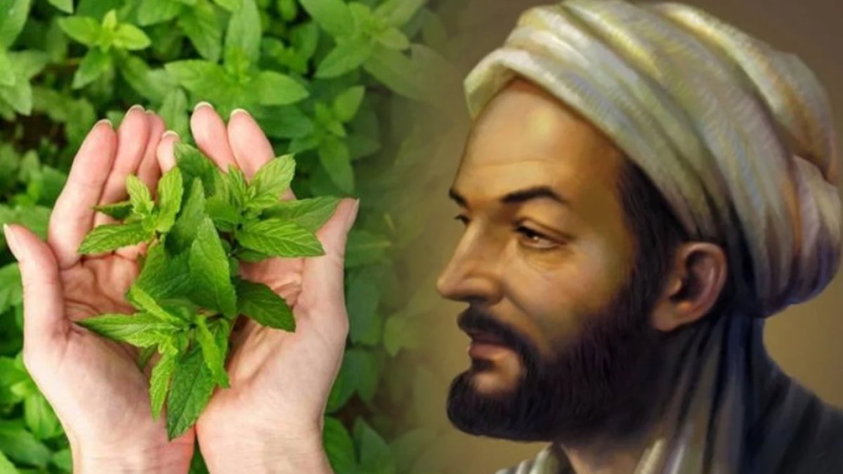 Kaldırımlarda yetişiyor, botoks etkisi yaratıyor! İbn-i Sina sayfa sayfa yazmış: Gençliğin bilinmeyen iksiri