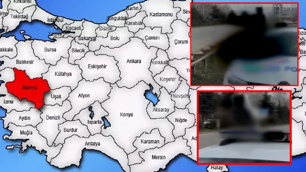 Manisa Manisa olalı böylesini görmedi! Sosyal medyada, "Şimdi ayvayı yedik" diye viral oldu