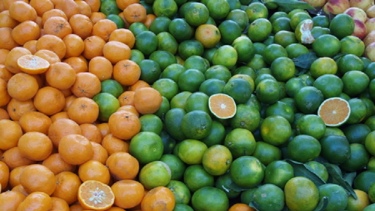 Mandalinalar yarışıyor! Yeşil mi yoksa turuncu mu? Mandalinanın rengi her şeyi ele veriyor! Bakın hangisi daha sağlıklı çıktı