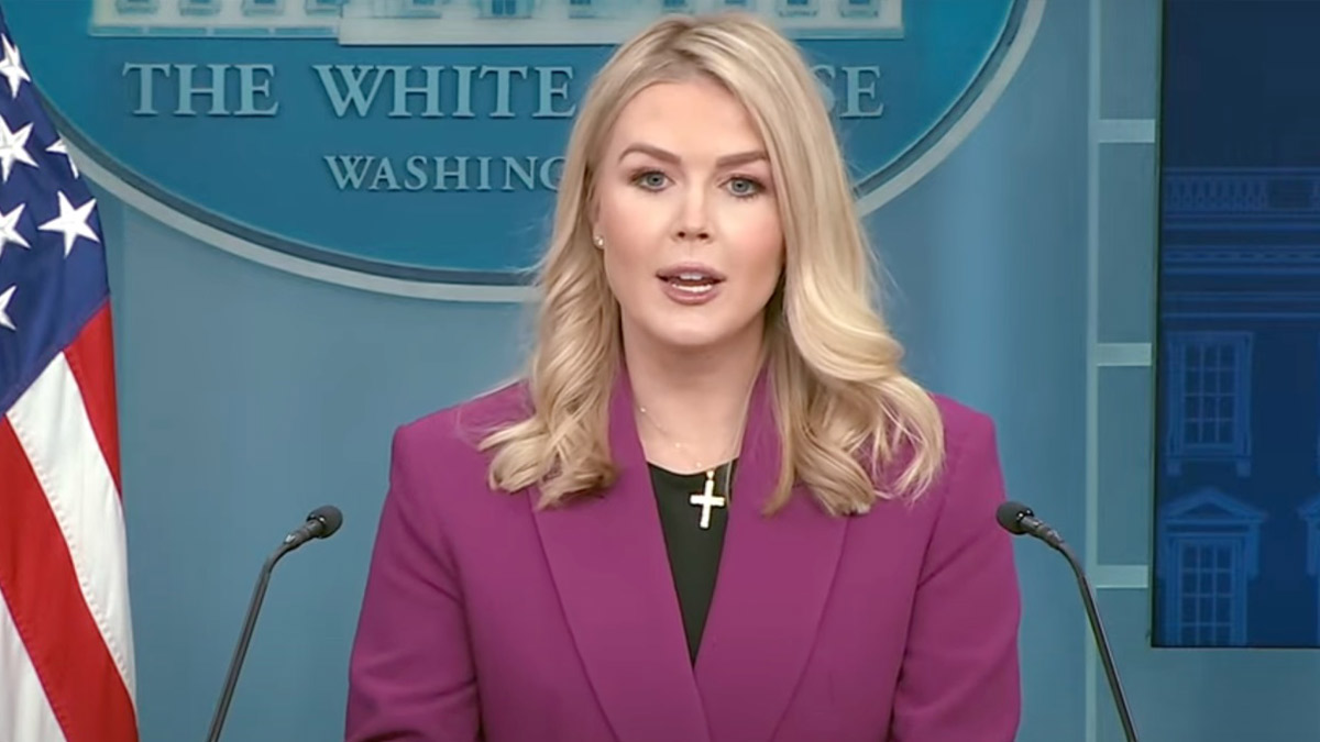 Beyaz Saray: Yaşa dışı göçmen operasyonunda bir Türk vatandaşı da tutuklandı