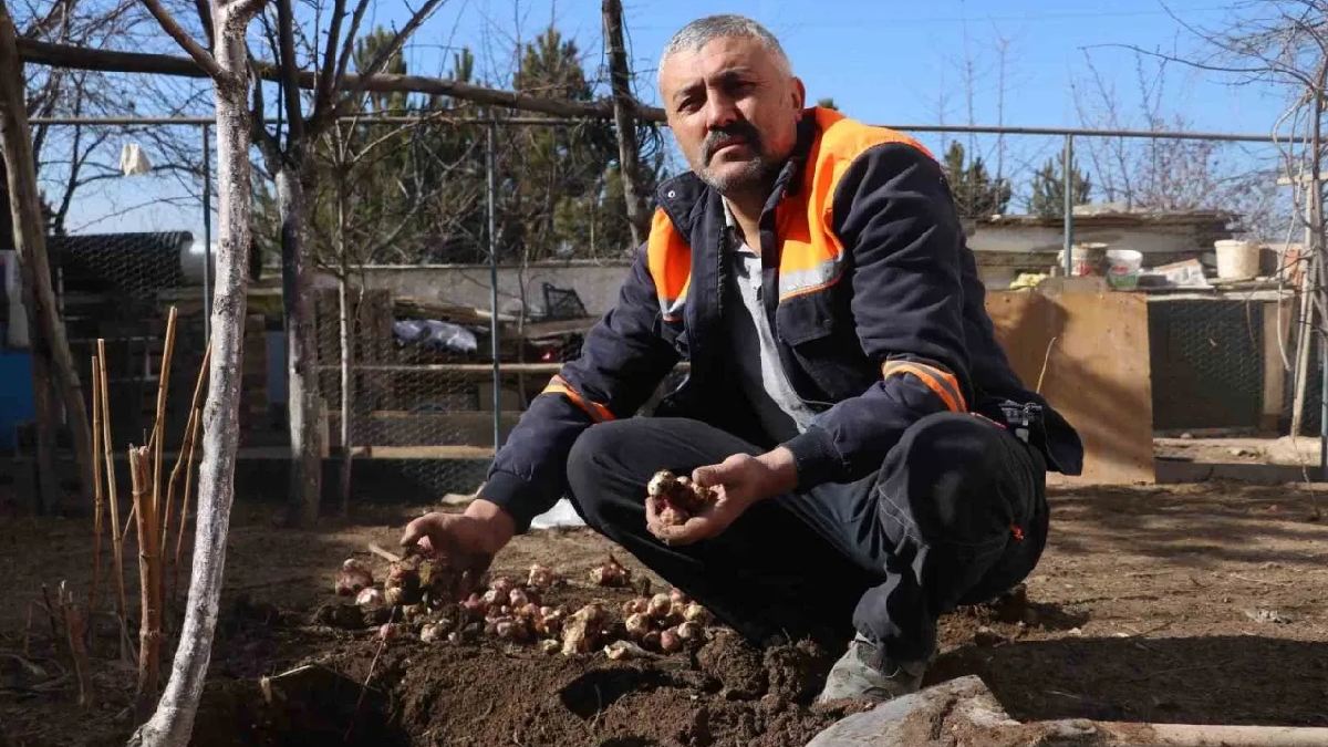 Bahçesine ekti kilosunu 50 TL’den satışa çıkardı! Bu ürüne talep çok: Dahi satıcı paraya para demiyor