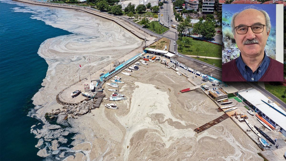 Prof. Dr. Mustafa Sarı: Müsilaj Marmara'yı örümcek gibi sardı