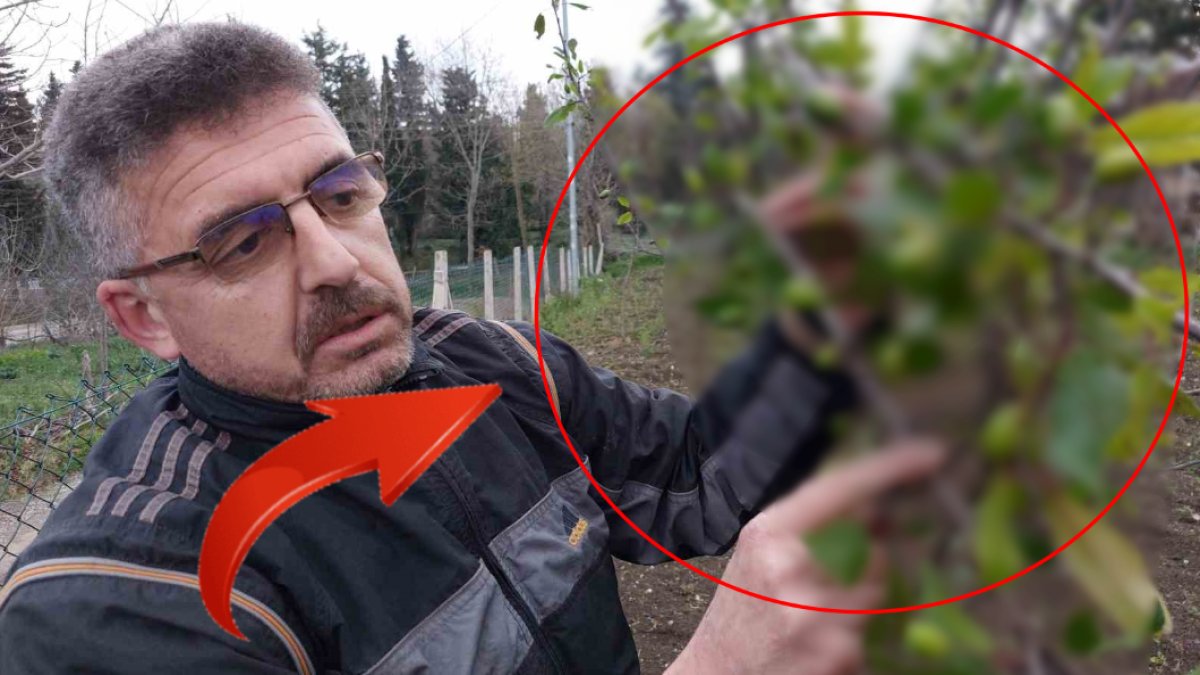 Bu mevsimde olacak iş değil! Bahçeye çıkan adam şaşkına döndü: Bu ayda olma şansı sıfırdı