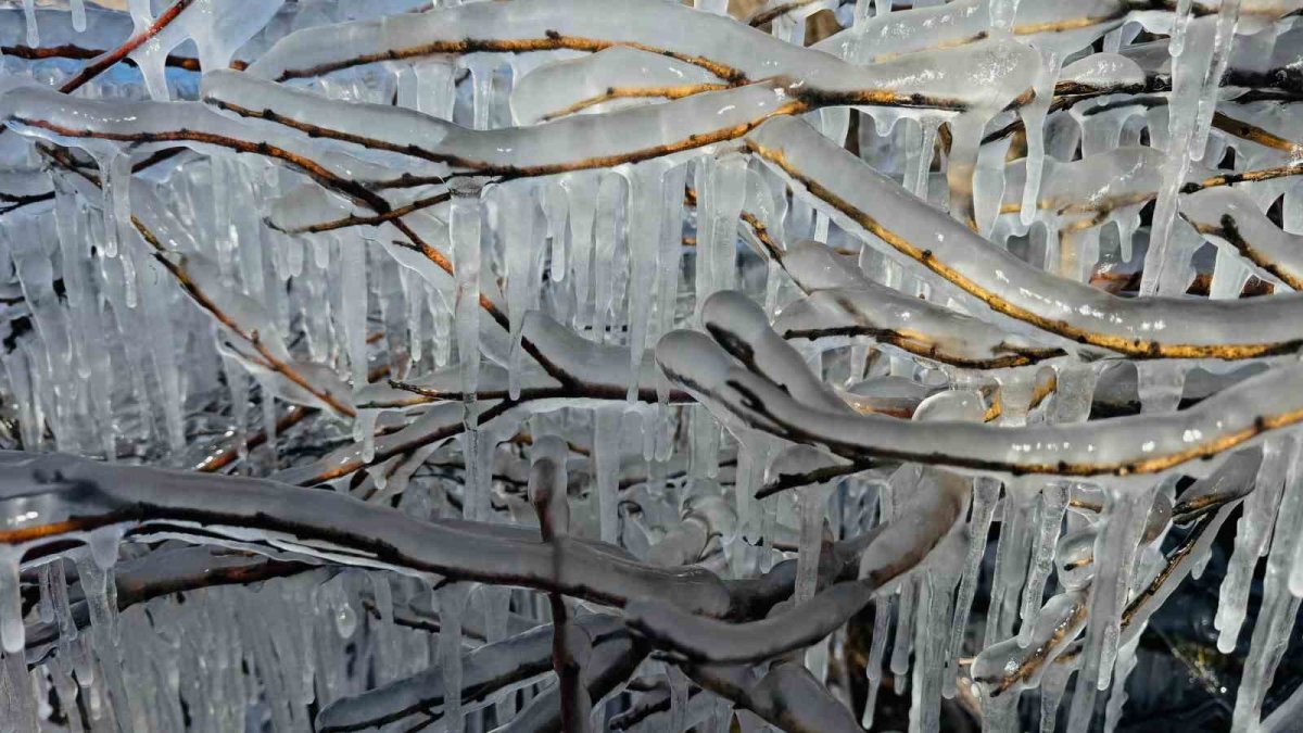 Kışın sert soğukları gözler önüne serildi! Ağaçlar buz tuttu, sarkıtlar oluştu