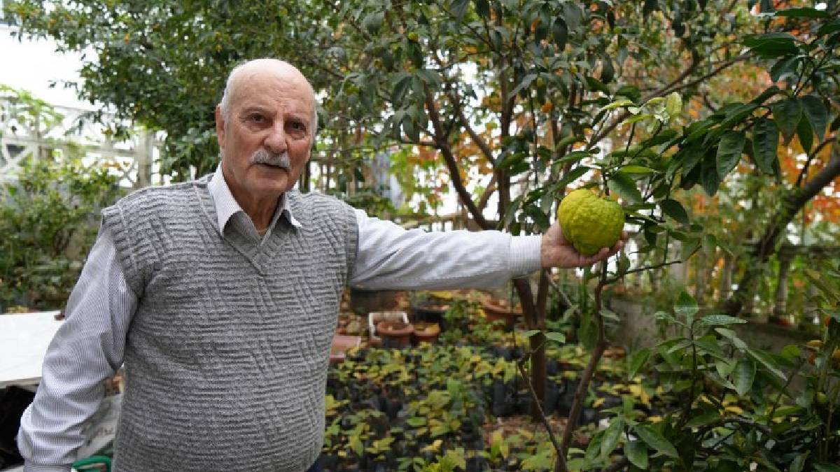 Kimse yapamazsın dedi o yılmadı… 50 farklı ülkeden getirdi, 200 çeşit üretti! Yılın 12 ayı ürün topluyor