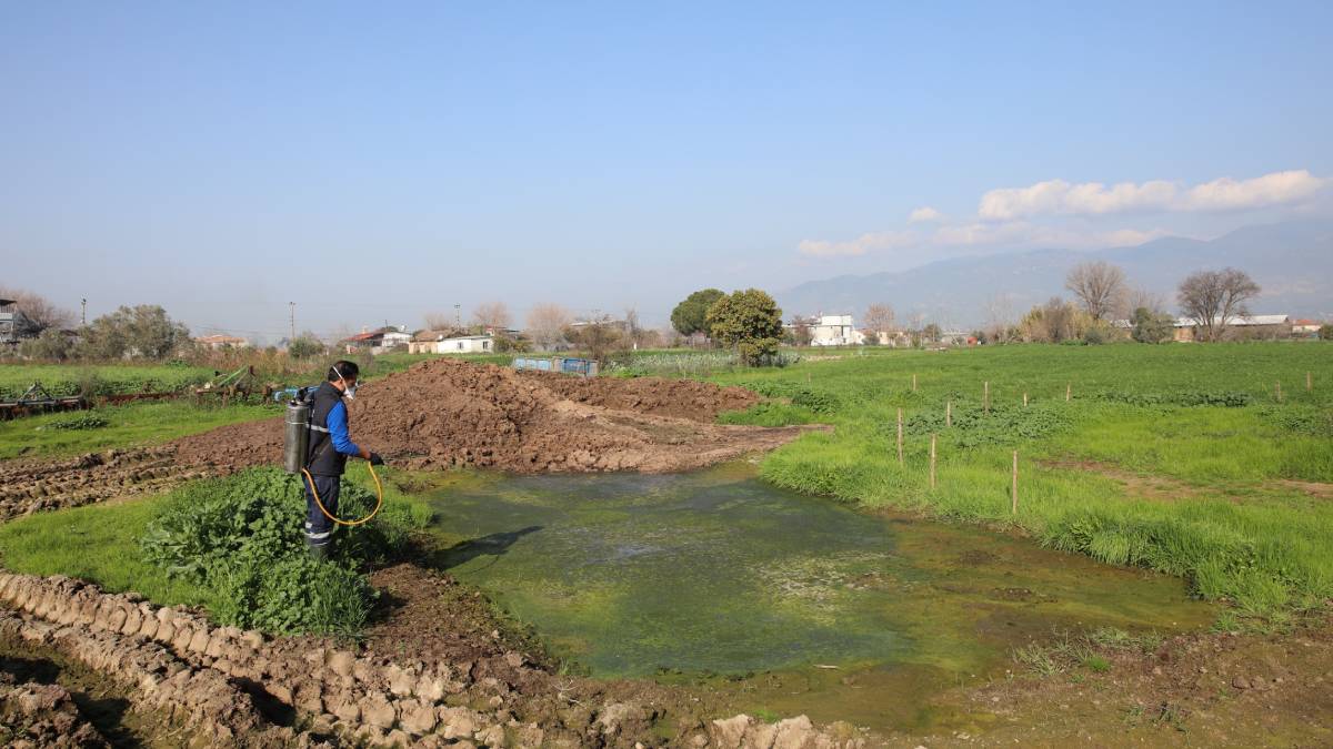 Efeler’de sineklerle mücadele yıl boyunca devam ediyor