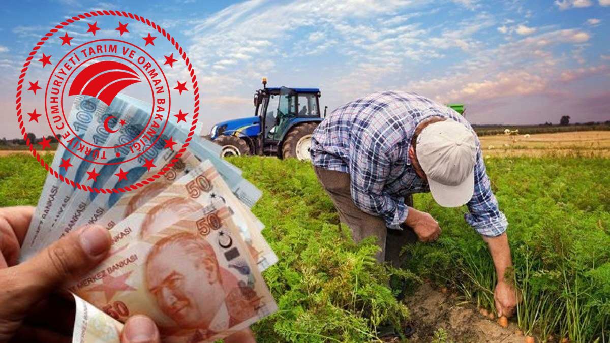 2025 çiftçiyi sevindirecek! Bakanlık açıkladı büyük destek geldi: 461 milyon lira ödeme yolda