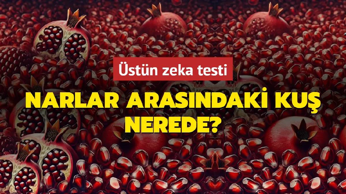 Süre sınırlaması yok! Üstün zekalılar anında fark ediyor! Nar arasına gizlenmiş kuş nerede duruyor?