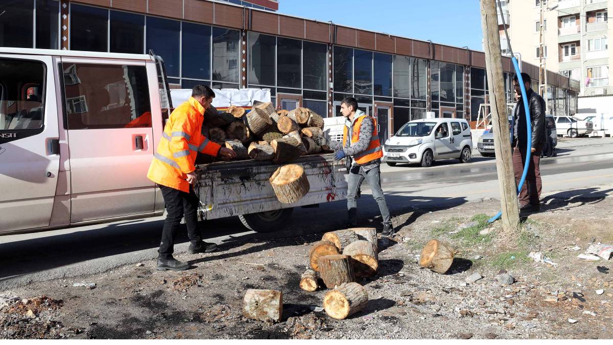 Yenimahalle’de budanan ağaçlar yakıta dönüşüyor