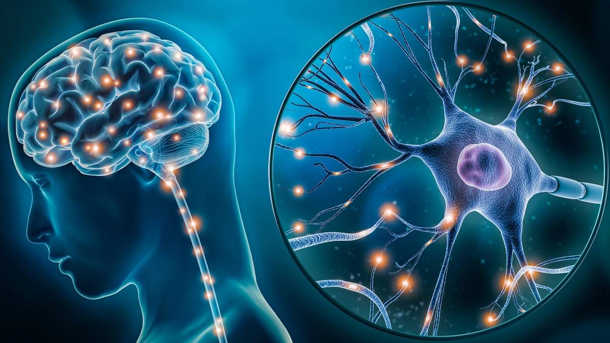 Yeni araştırmaya göre oran hızla artıyor: Mikroplastikler zihnimize sızdı