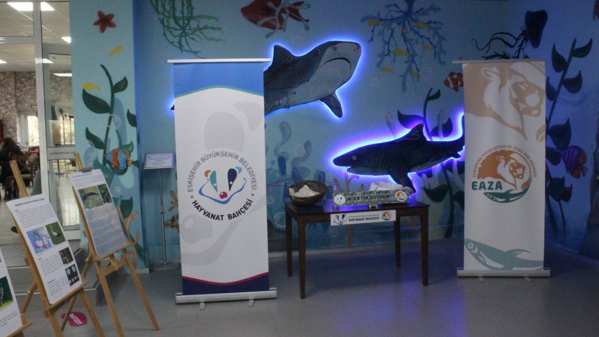 Büyükşehir Hayvanat Bahçesi sulak alanlara dikkat çekti