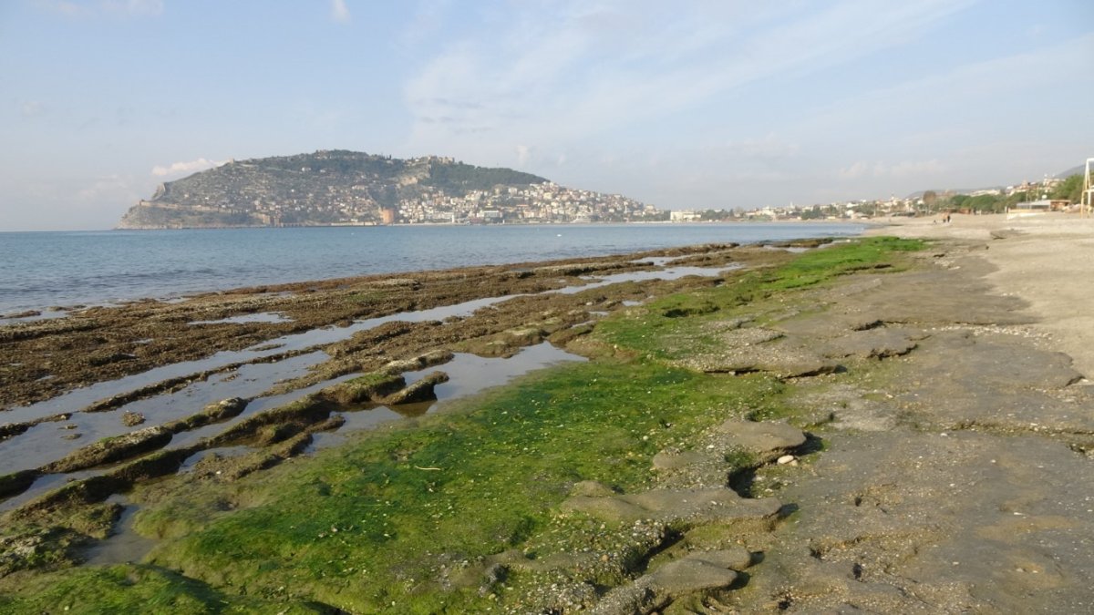 Ege Denizi'ndeki depremler yüzünden mi oldu? Deniz suyu 8 metre çekildi