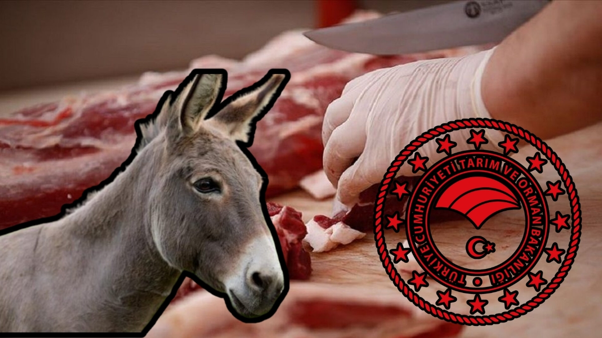 Gıda sektöründe skandallar büyüyor! Bakanlık yeni ifşaları duyurdu: Eşek eti açıklamaları ortalığı karıştırdı