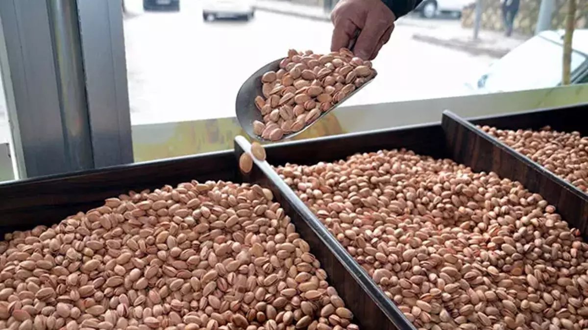 O ilimizin fıstığı tescillenecek! Artık kendi adıyla anılacak