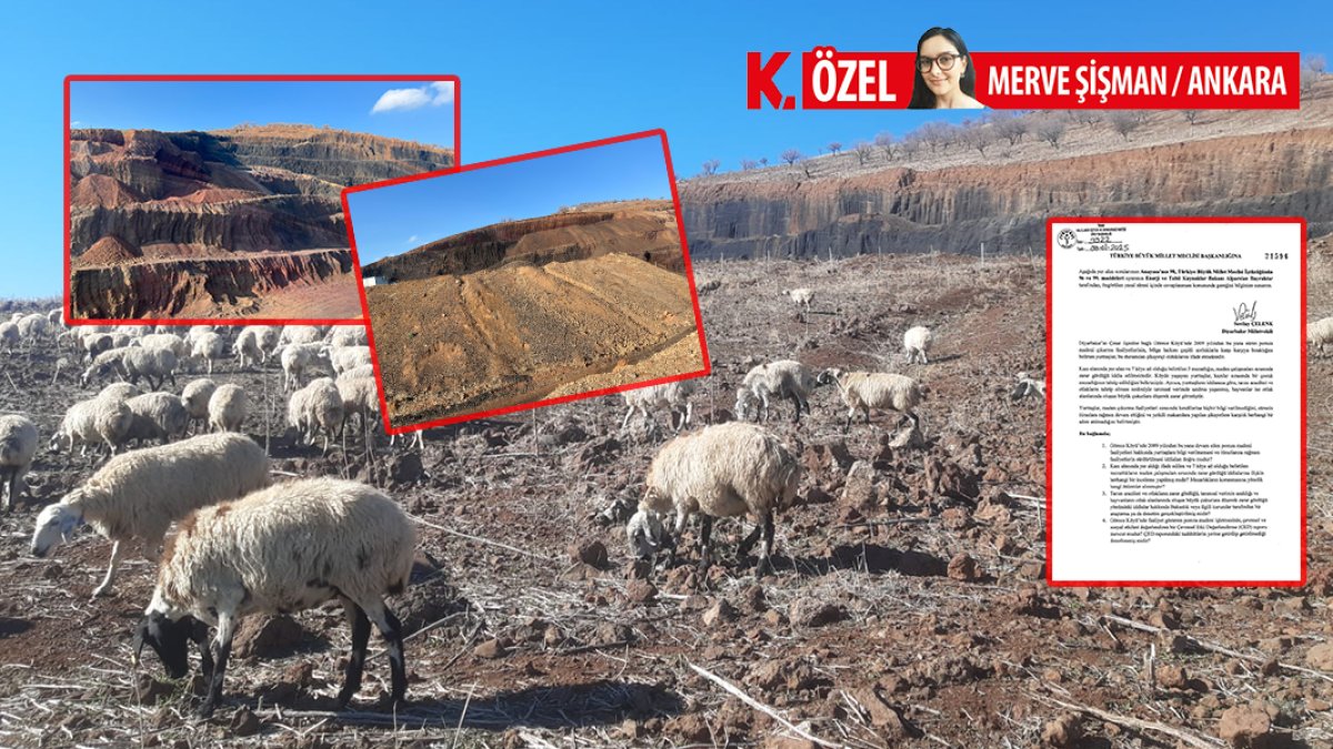 Pomza için çocuk mezarını oydular