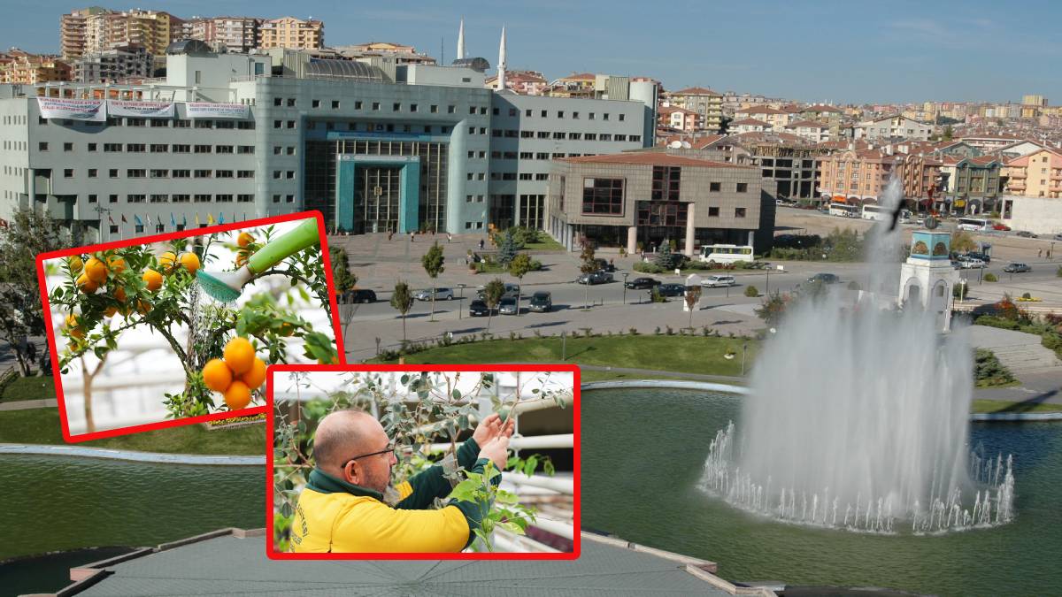 Ankaralılar keşke bu ilçede yaşasaydım diyecek! O belediyeden büyük destek! Geleceğin mesleği bunda yatıyor