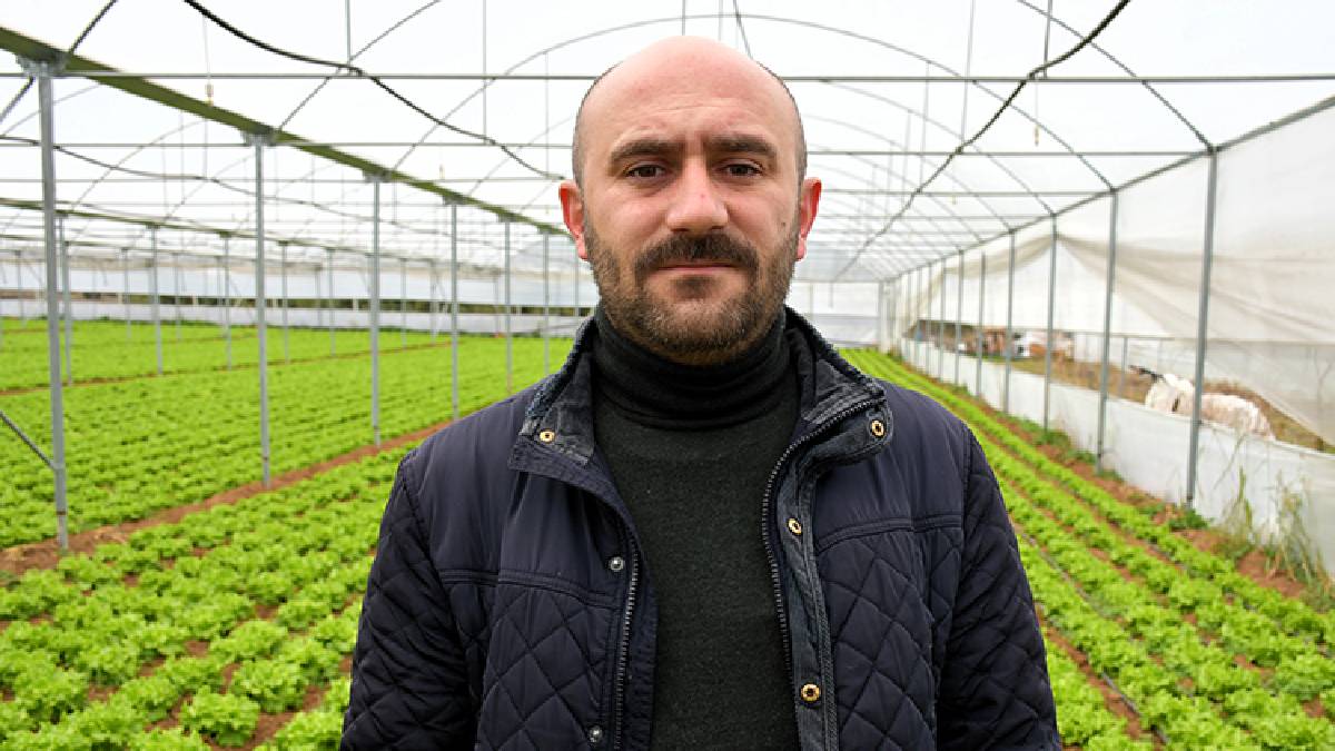 Bir biyologun tarım zaferi: Devlet desteğiyle kurduğu serada İstanbul’un marul ihtiyacını karşılıyor!