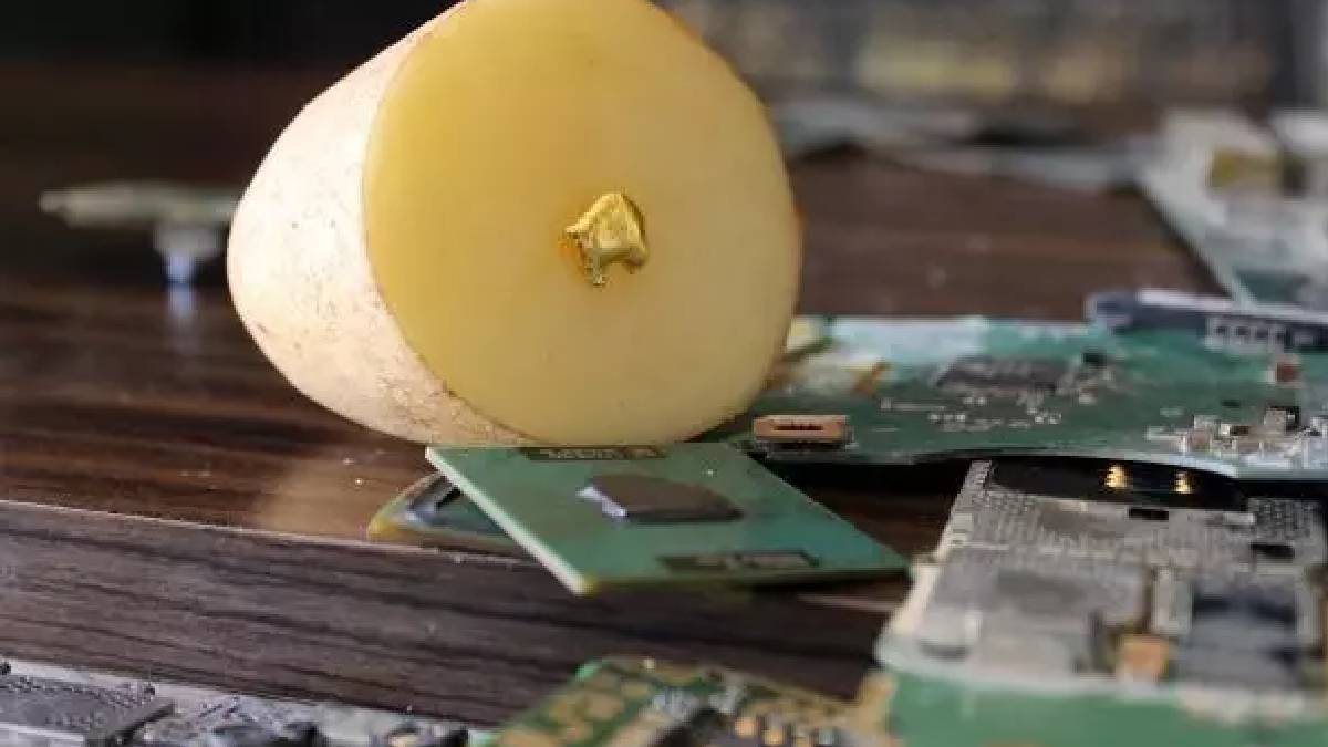 Her evde bulunuyor kimse 22 ayar altın değerinde olduğunu bilmiyor! Çöpe atan dizlerini dövecek