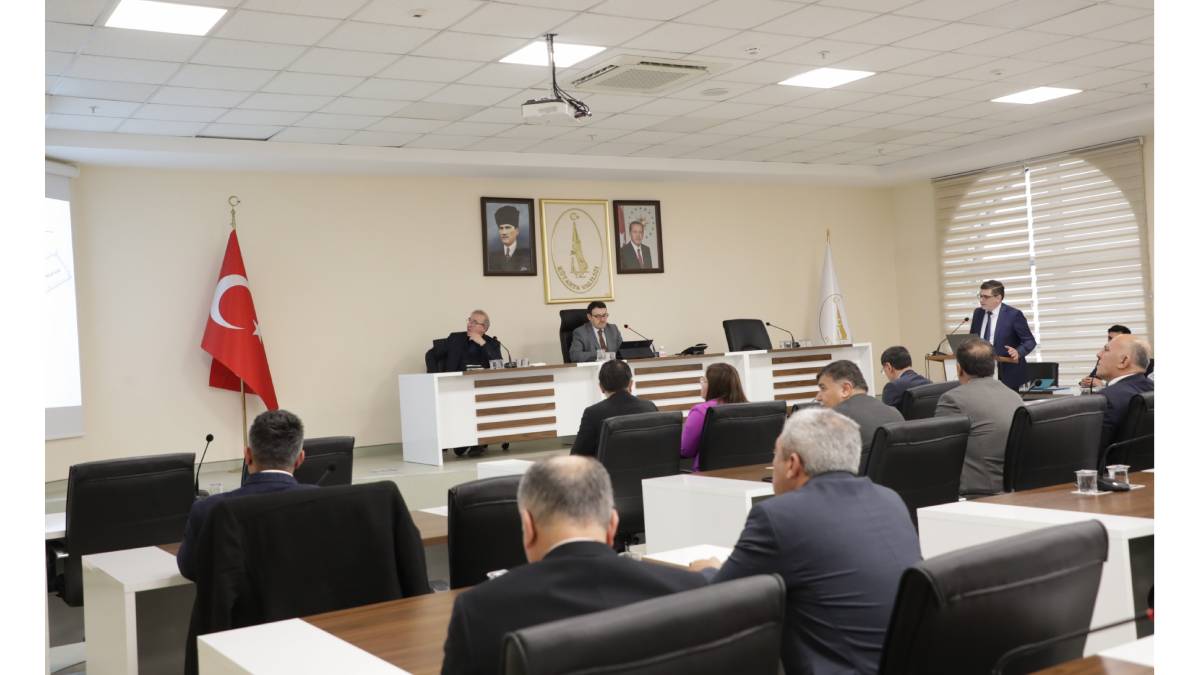 Sahipsiz hayvanlar için önemli adımlar