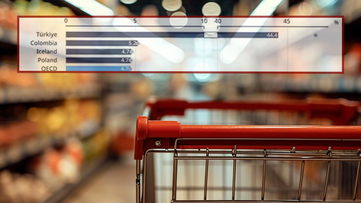 OECD aralık ayı verilerini açıkladı: Türkiye'nin enflasyonu ortalamanın 10 katı