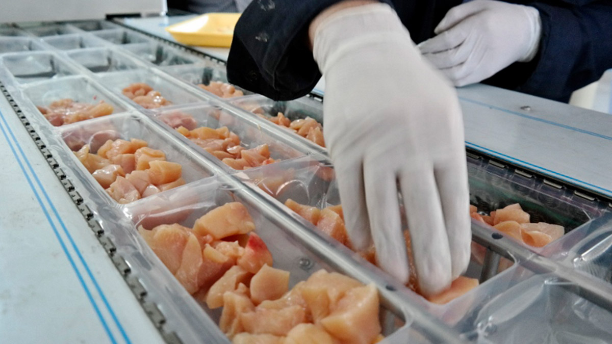 AB'den izin çıktı: Türkiye Avrupa'ya işlenmiş tavuk eti ihracatına hazırlanıyor