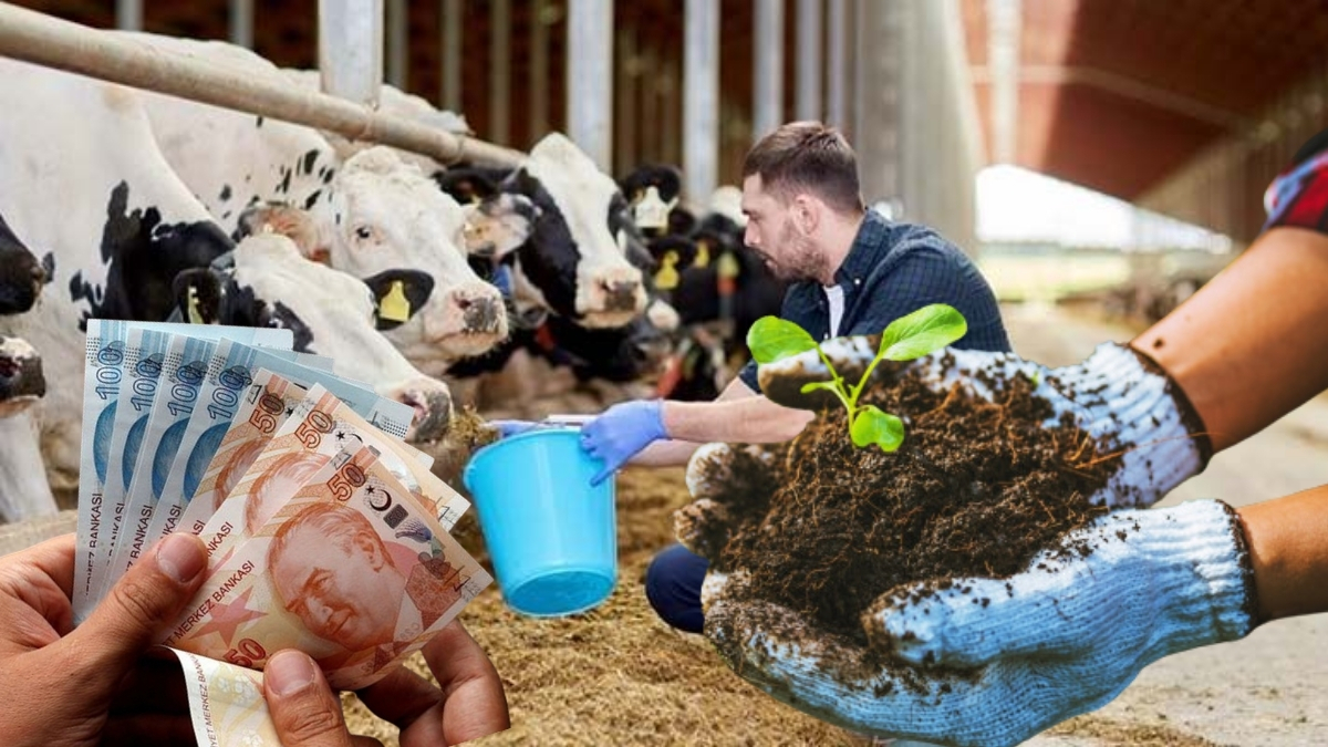 Çiftçilere müjde, yeni fırsatlar açıklandı! Tarım ve Hayvancılık Destek Paketlerinde yeni dönem: İşte başvuru detayları