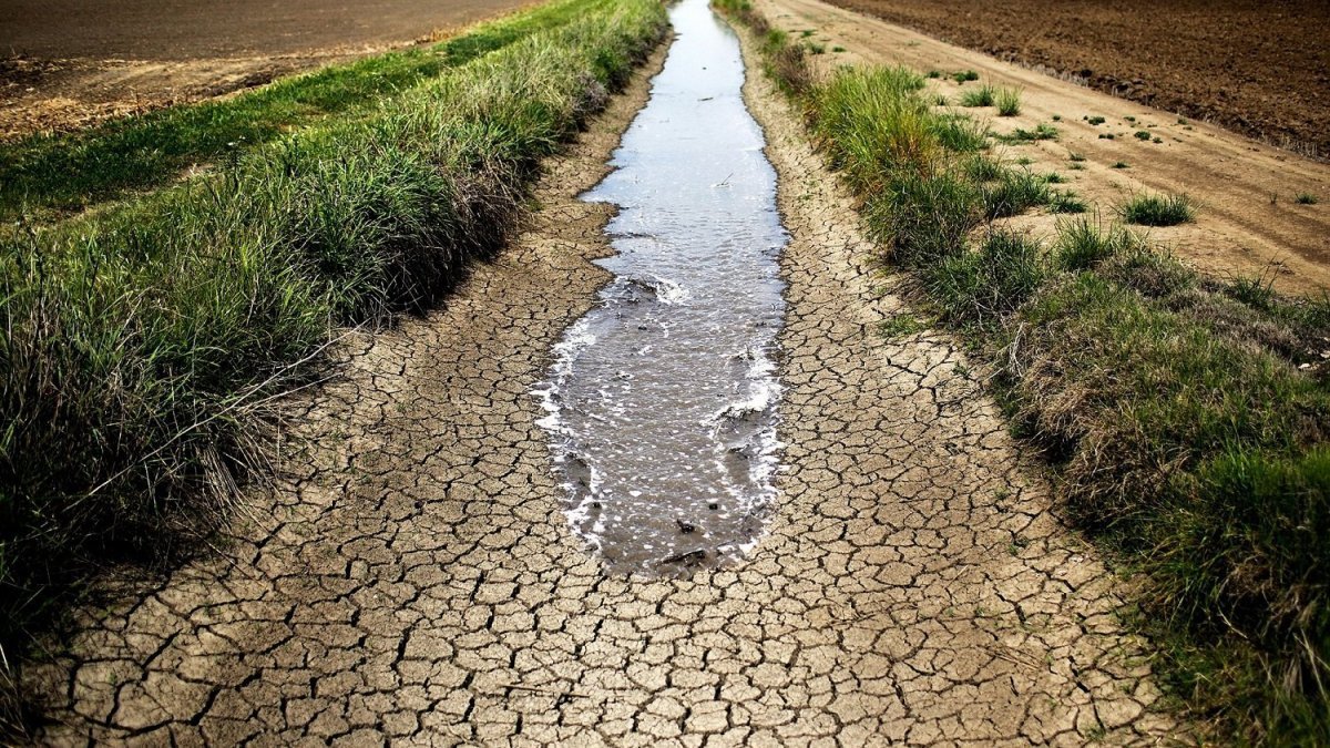 Kuraklık alarm veriyor: Son 4 ayda yağışlar normalin çok altında