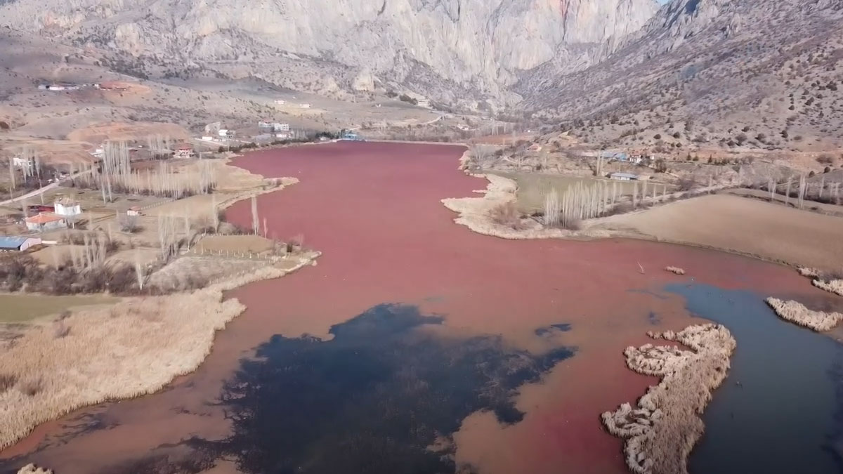 Çekerek Irmağı'nda kirlilik alarmı