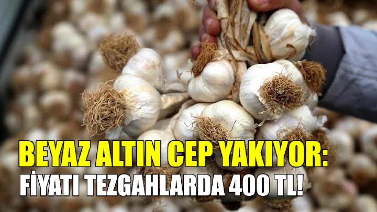Beyaz altın olarak biliniyor, fiyatı ise cep yakıyor! Tezgahta 400 TL'den satılıyor