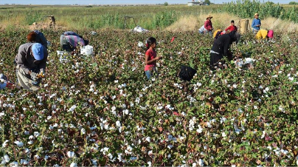 O ürüne elveda demeye hazır olun! Üretimi yasaklanıyor: Sektörde devrim 5 yıl içinde başlıyor