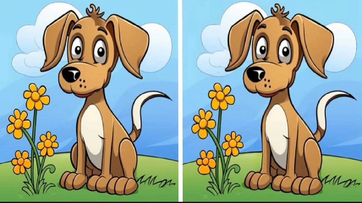 Resimdeki farkları 14 saniyede bulanı Einstein bile ayakta alkışlar! Denemeden sakın geçme