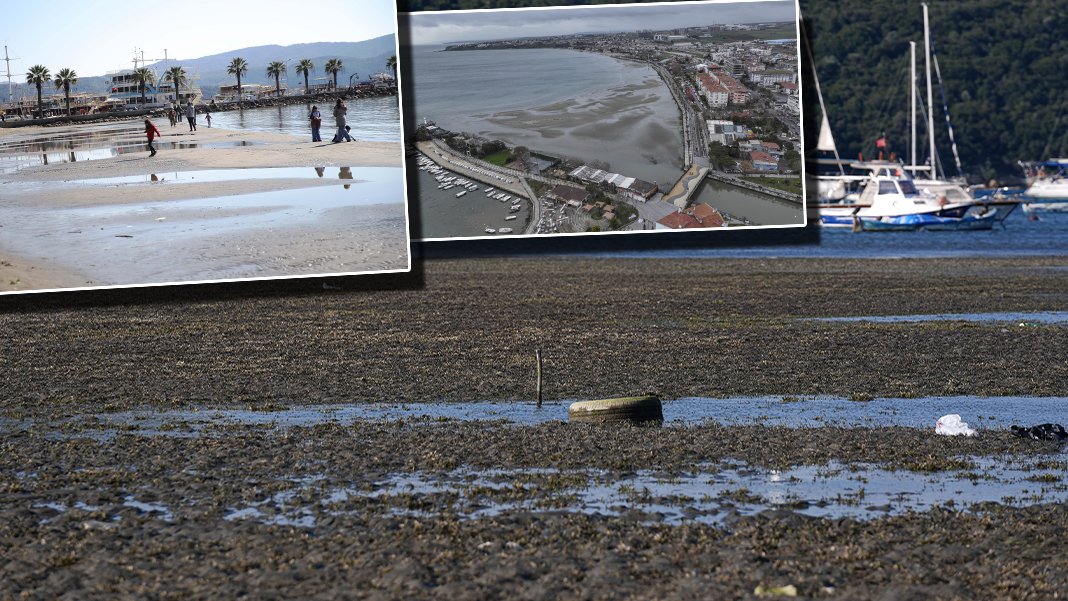 İzmir ve Muğla’nın ardından İstanbul'da da deniz suları çekildi: Korkutucu görüntüler büyük depremin habercisi mi?