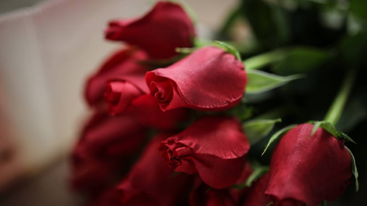 14 Şubat öncesi çiçekçilere uyarı: Gülün adedi 400-500 liradan satılırsa gerekli yaptırımları uygularız