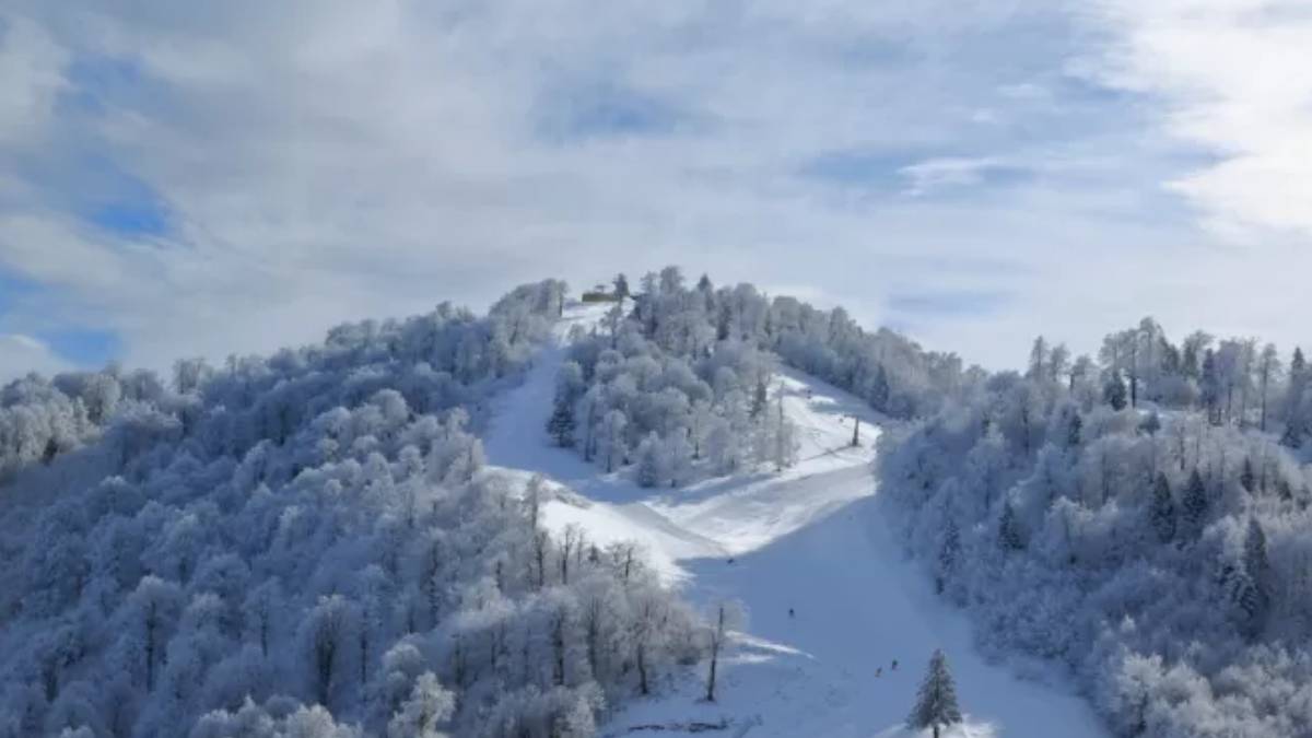 Burası Norveç ya da Alaska değil! İstanbul'un burnunun dibi: Bir anda turistlerin karşısına çıktı