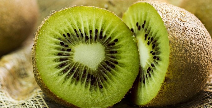 Kivide hedef 100 bin ton üretim