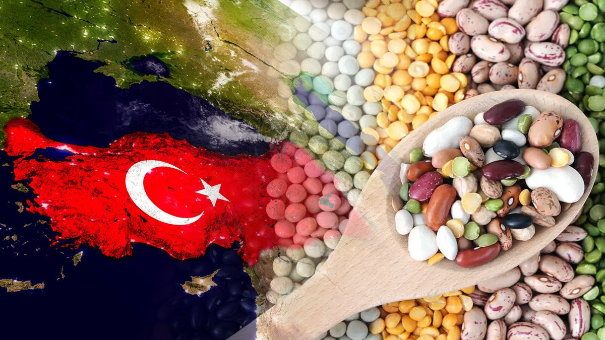 Türk tarımında şok eden düşüş! Baklagiller bitiyor, dünyanın en soğuk ülkesi ise uçuyor